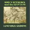 LP-Box - Robyn & The Egyptians Hitchcock - Lunimous Groove