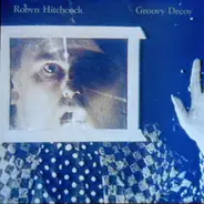 Robyn Hitchcock - Groovy Decoy