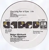 Robyn Hitchcock & the Egyptians - One Long Pair Of Eyes