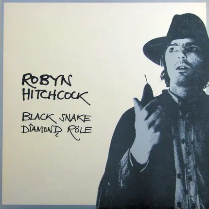 Robyn Hitchcock - Black Snake Diamond Role