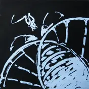 Robyn Hitchcock - Bells Of Rhymney