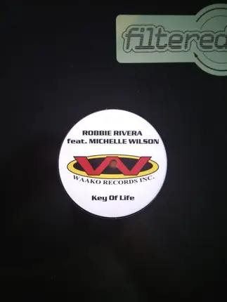 Robbie Rivera Feat. Michelle Wilson - Key Of Life