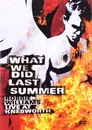 Double DVD - Robbie Williams - What We Did Last Summer (Live At Knebworth)