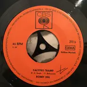 7inch Vinyl Single - Robby Hill - Weil Ich Dich Nie Vergessen Kann