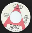 7inch Vinyl Single - Robert Cameron - Angelica / Polka Dots And Moonbeams