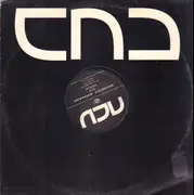 12inch Vinyl Single - Robert Armani - Big Dick - Company Sleeve