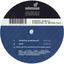 12inch Vinyl Single - Robert Babicz - Pingpong In Moonlight
