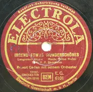 Robert Gaden Und Sein Orchester - Irgend Etwas Wunderschönes / Pachita