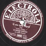 Robert Gaden Und Sein Orchester - Am Rio Negro / O Mia Bella Napoli