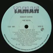 12inch Vinyl Single - Robert David - The Boys
