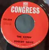 7inch Vinyl Single - Robert Davie - The Gypsy