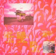 LP - Robert Forster - Warm Nights