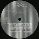 12inch Vinyl Single - Robert Junior & Danny Polanco - See The Light