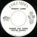 7inch Vinyl Single - Robert Lamm - Where You Think You're Going?