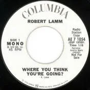Robert Lamm - Where You Think You're Going?