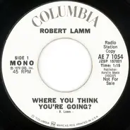 Robert Lamm - Where You Think You're Going?