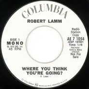 Robert Lamm - Where You Think You're Going?