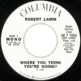 Robert Lamm - Where You Think You're Going?