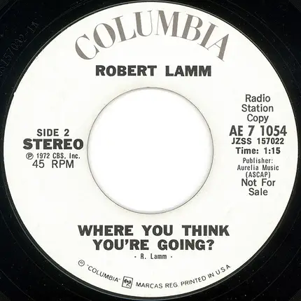 Robert Lamm - Where You Think You're Going?