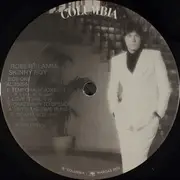 LP - Robert Lamm - Skinny Boy