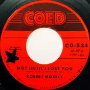 Robert Mosely - Not Until I Lost You