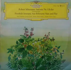 Robert Schumann - Sinfonie Nr. 1 "Frühlingssinfonie" / Aus Böhmens Hain Und Flur