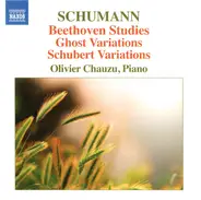 Robert Schumann , Olivier Chauzu - Beethoven Studies