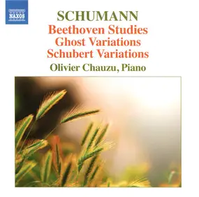 Robert Schumann - Beethoven Studies