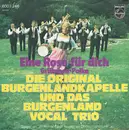 7inch Vinyl Single - Robert Payer Und Seine Original Burgenlandkapelle Und Das Burgenland-Vocal-Trio - Eine Rose Für Dich / Grübchen-Polka