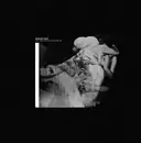 12inch Vinyl Single - Robert Pain - They Have Failed To Release Us