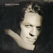 12'' - Robert Palmer - Discipline Of Love