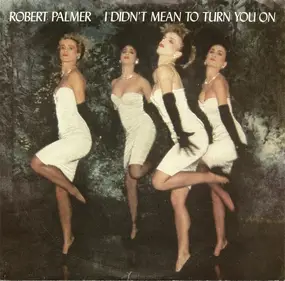 Robert Palmer - I Didn't Mean To Turn You On / Get It Through Your Heart