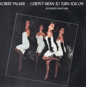 Robert Palmer - I Didn't Mean To Turn You On