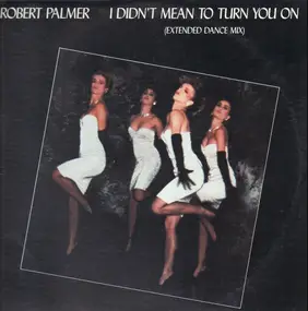 Robert Palmer - I Didn't Mean To Turn You On