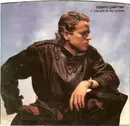 7inch Vinyl Single - Robert Palmer - You Are In My System