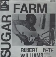 Robert Pete Williams - Sugar Farm