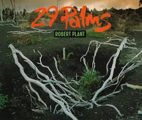 Robert Plant - 29 Palms