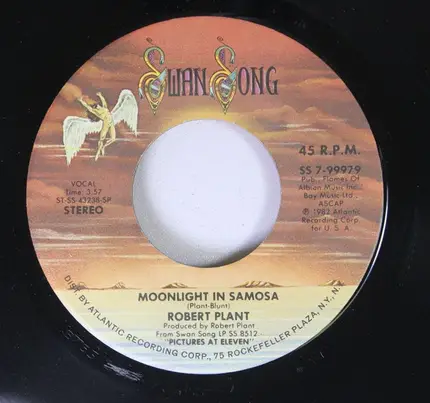 Robert Plant - Burning Down One Side
