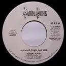 7inch Vinyl Single - Robert Plant - Burning Down One Side