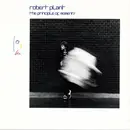 CD - Robert Plant - The Principle Of Moments