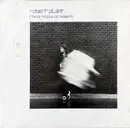 LP - Robert Plant - The Principle Of Moments