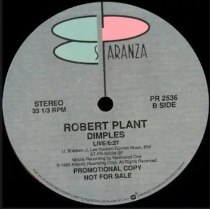 Robert Plant - The Way I Feel