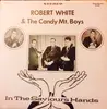 LP - Robert White And The Candy Mountain Express - In The Saviour's Hands