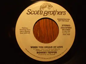 Robert Tepper - When You Dream Of Love