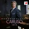 Double LP - Roberto Alagna - Caruso - HQ-Vinyl LIMITED