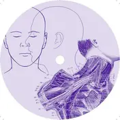 Roberto Clementi - Avesys