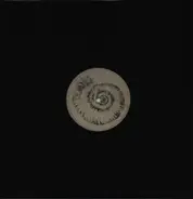 Roberto - Perisphinctes Tiziani
