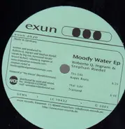 Roberto Q. Ingram & Stephan Riedel - Moody Water Ep