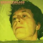 Robert Pollard - FROM A COMPOUND EYE -26TR
