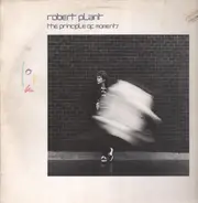 Robert Plant - The Principle of Moments